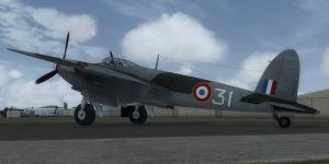 JK_JF_Mosquito_FAF_31.jpg