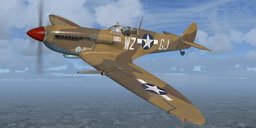 JK_RealAir_Spitfire_USAAF_Eleonor.jpg