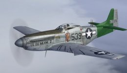 JK_P-51D_WBS_457thFS_506thFG.jpg