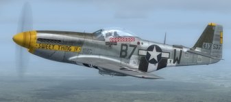 JK_P-51D-5_WBS_361st_B7-W.jpg