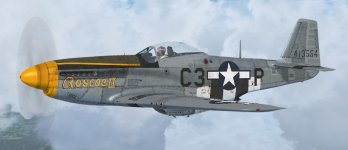 JK_P-51D-5_WBS_363rd_C3-P.jpg