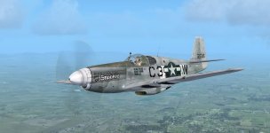 JK_P-51B_363rdFG_C3-W_Snookie.jpg