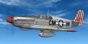 JK_P-51B_31stFG_CM-M_Betty_Jane.jpg