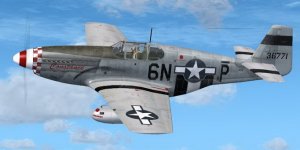 JK_P-51B_339thFG_6N-P_Constance.jpg