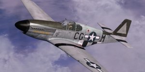 JK_P-51B_55thFG_CG-M_EastSideRat.jpg