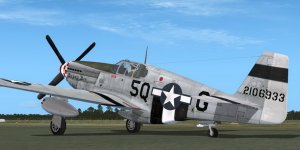 JK_P-51B_339thFG_5Q-G_BonnyBea.jpg