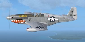 JK_P-51B_51stFG_Gladys.jpg