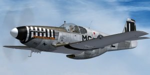 JK_P-51B_20thFG_MC-L.jpg