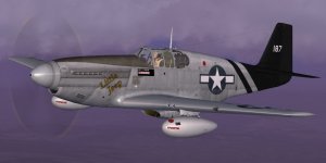 JK_P-51B_23rdFG_LittleJeep.jpg