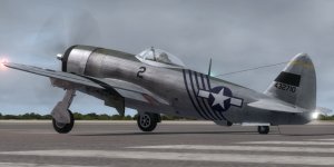 JK_P-47D-25_1stACG.jpg