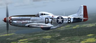 JK_P-51D_339th_D7-B_Bouncin_Betsy.jpg