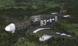 JK_P-51B_363rdFG_B3-B_Snark.jpg