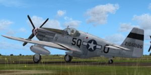 JK_P-51B_339thFG_5Q-O_Punkie.jpg