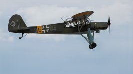 Storch-right.jpg