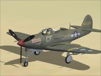 P-39-011.jpg