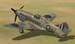 SAAF-Curtiss Tomahawk IIb 01.jpg
