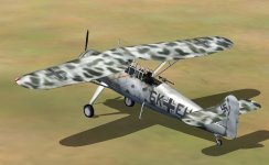 RLM-Henschel Hs 126 A-1 Winter 01.jpg