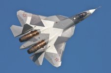 AIR_PAK-FA_MAKS-2011_Sukhoi_lg.jpg