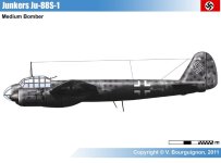 p1.jpg