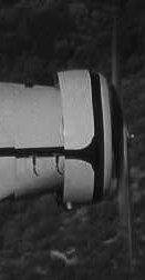n17442_3.jpg