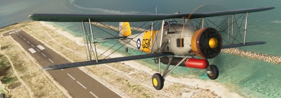 Microsoft Flight Simulator 8_9_2024 2_58_39 PM_.jpg