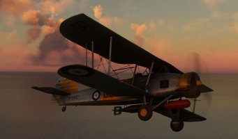 Microsoft Flight Simulator 8_9_2024 2_58_11 PM_.jpg