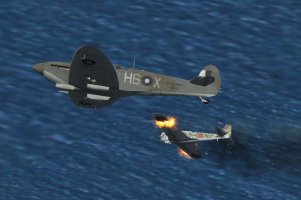 Seafire_MkIII_894FAA_JAN45b.jpg