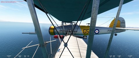 Microsoft Flight Simulator Screenshot 2024.08.23 - 01.10.17.08.jpg