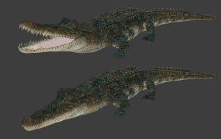 gator.jpg