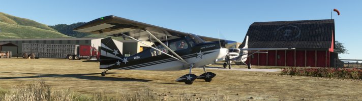 Microsoft Flight Simulator 9_24_2024 11_28_09 PM_upload.jpg