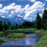 yellowstone_scenery_g.jpg