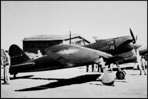 v-172_p-5016_caf_a.jpg