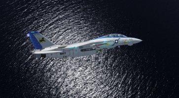 F-14_sea_color.jpg