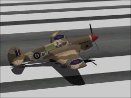 RAF_P-40F.jpg