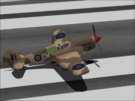 P-40F-5_WrongPaint.jpg