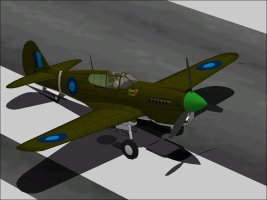 P-40M_RFHigh.jpg