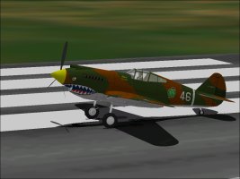 P-40_AVG_1P.jpg