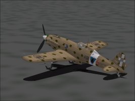 Macchi_3.jpg