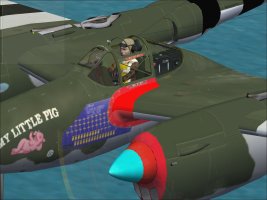 P-38J--101.jpg