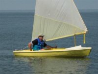 sunflowerdelawarebay2.jpg