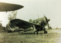 7586037104_a6aaa67080_z[1].jpg