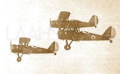 Ven_Ospreys_zps3a2e19a1.jpg