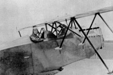 SVA10_2.jpg