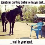 memes 1.Donkey.jpg
