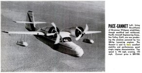 Pace Gannet.jpg