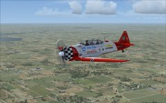 t6.jpg