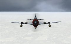 p47 2.jpg