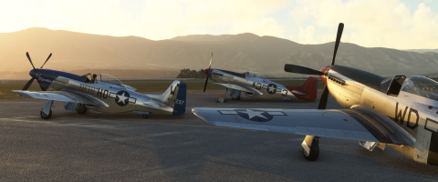 Reduced Microsoft Flight Simulator Screenshot 2025.04.15 - 21.47.47.28.png
