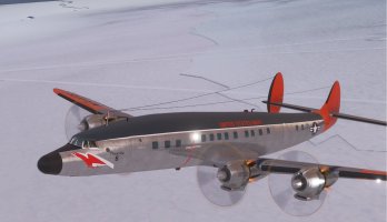 phoenix6.jpg