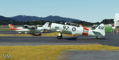T6 WAR SIM.png